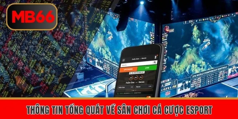 Thông tin tổng quát về sân chơi cá cược Esport